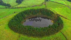 Verdant Oasis: The Aerial View of a Secluded Forest Lake