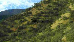 Verdant Hillside Under Blue Skies