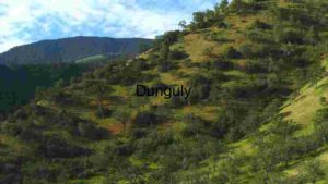 Serene Hillside Landscape