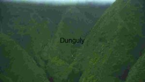 Verdant Valley Vistas