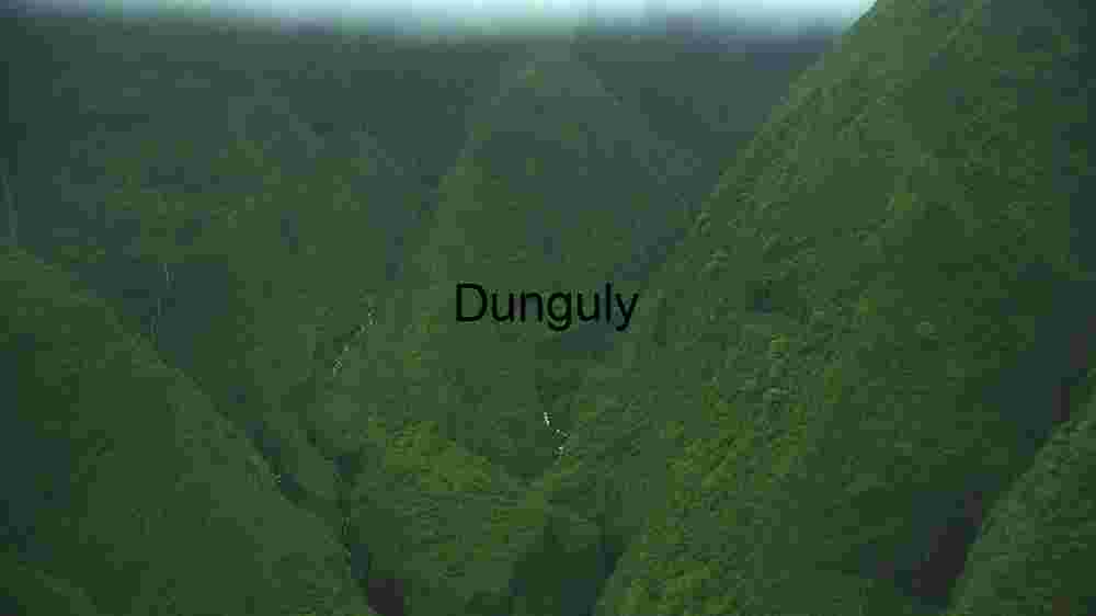 Verdant Valley Vistas