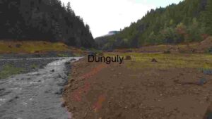 Serene Riverbed in Lush Forest Valley