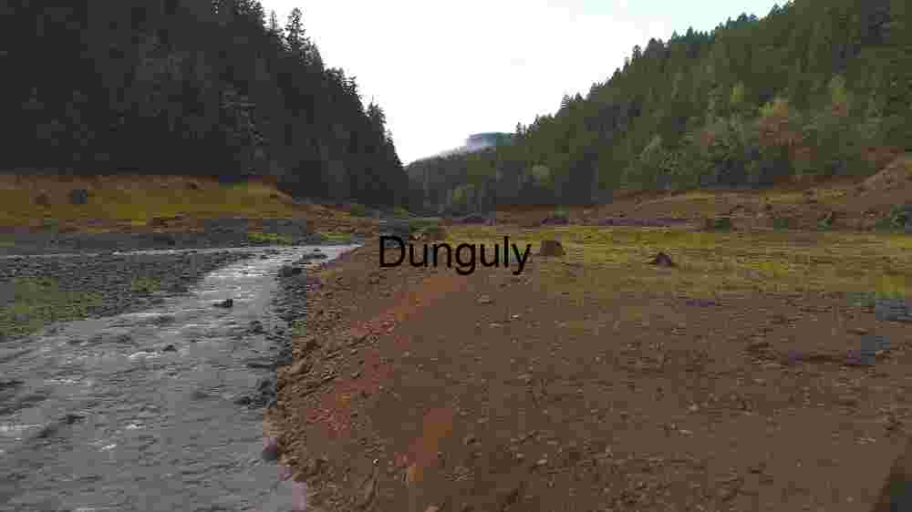 Serene Riverbed in Lush Forest Valley