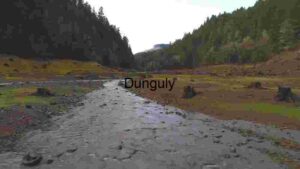 Serene Riverbed in Lush Forest Valley