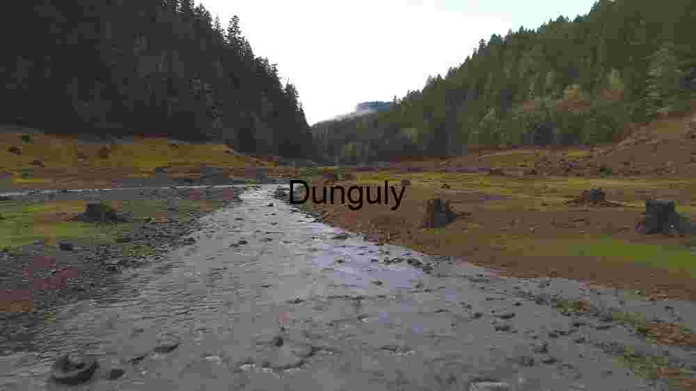 Serene Riverbed in Lush Forest Valley