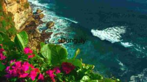 Coastal Serenity: A Cliffside View