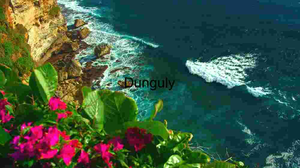 Coastal Serenity: A Cliffside View