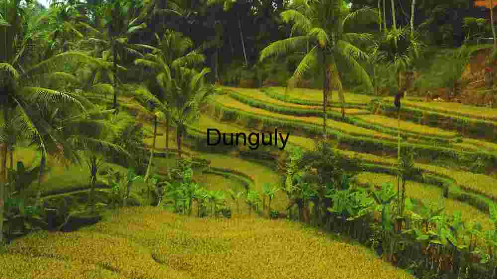 Terraced Rice Fields in Tropical Landscape