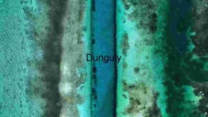 Aerial View of a Vibrant Coral Reef