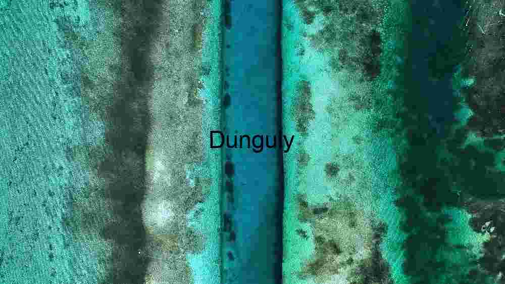 Aerial View of a Vibrant Coral Reef