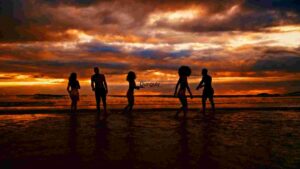 Silhouette Serenity at Sunset