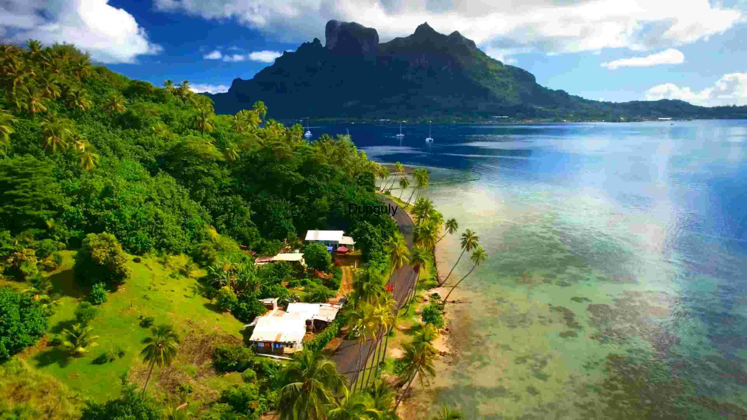 Tropical Paradise Escape