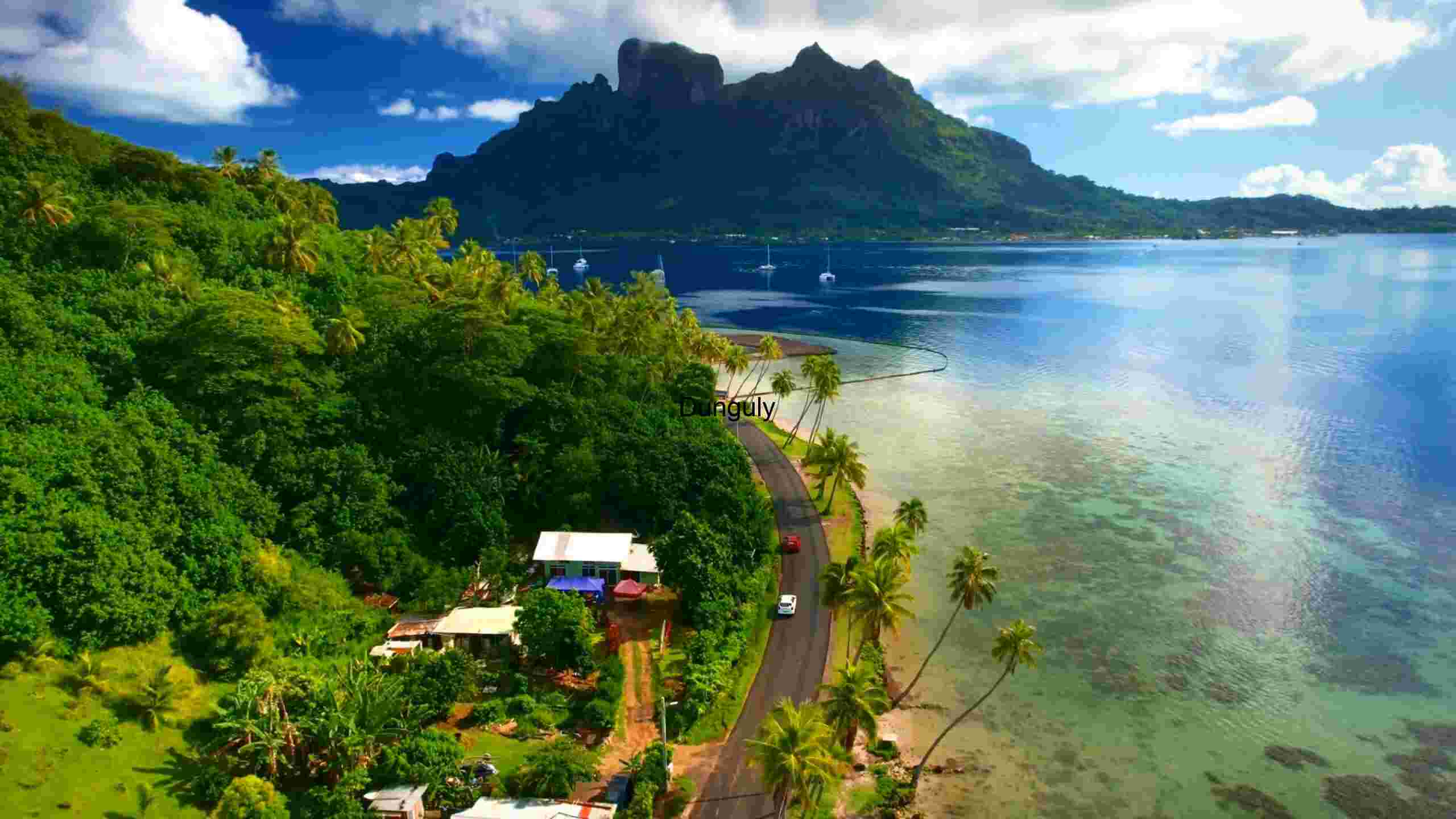 Tropical Paradise Road Trip