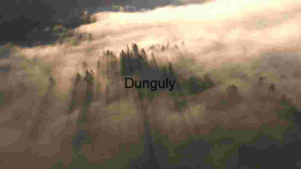 Enigmatic Sunrise Over Mist-Enshrouded Forest