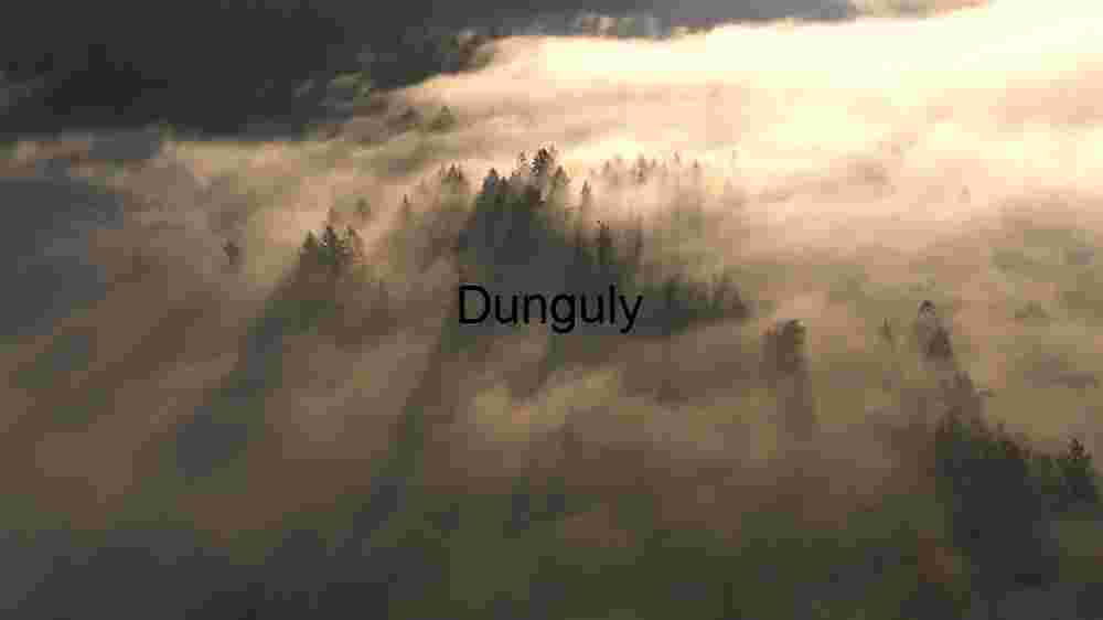 Mystical Sunrise Over Fog-Enshrouded Forest