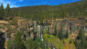 Majestic Waterfall in a Lush Forested Landscape
