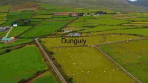 Pastoral Elegance: Aerial View of Countryside Farmland