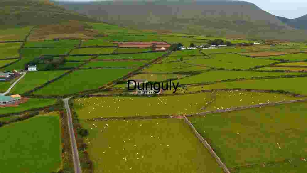 Pastoral Serenity: Aerial View of Countryside Farmland