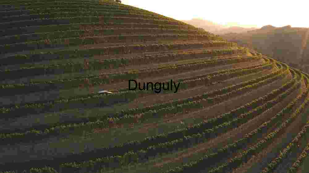 Serene Sunset Over Vineyard Hills