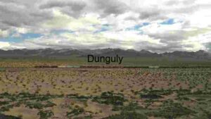 Desert Freight Train Journey