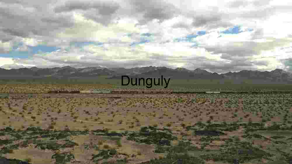 Desert Freight Train Journey