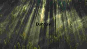 Enchanted Forest Sunrise