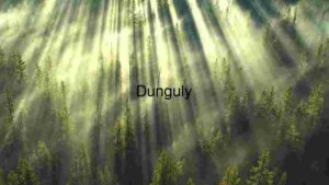 Ethereal Forest Sunrise  .