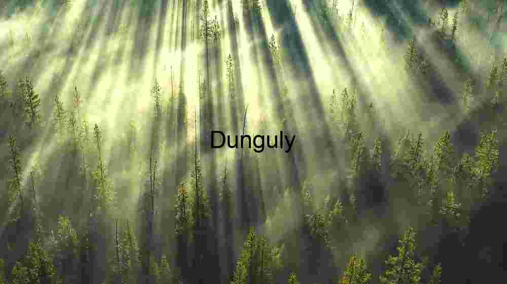 Ethereal Forest Sunrise .