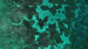 Aquatic Tapestry: Aerial View of Coral Reefs