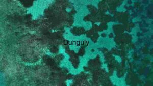 Aerial View of Coral Reefs