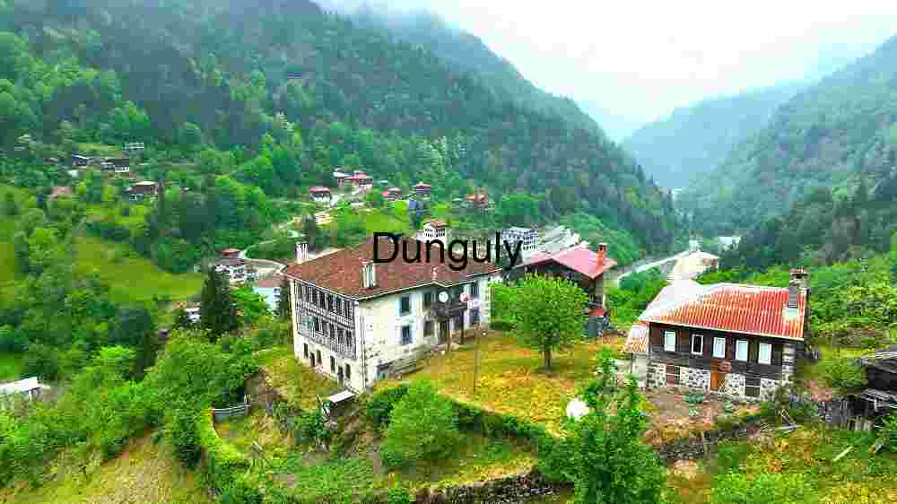 Serene Mountain Village Panorama