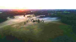 Misty Sunrise Over Forested Landscape