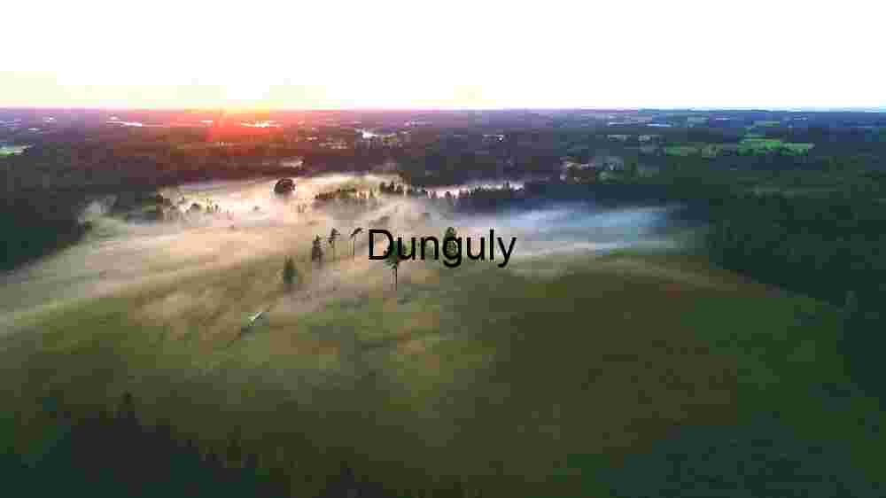 Misty Sunrise Over Forested Landscape