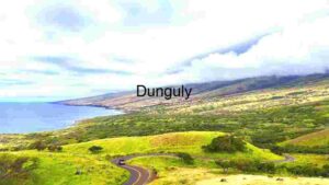 Serene Coastal Roadway