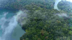 Serene Aerial View of a Misty Forest Lake
