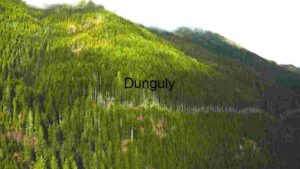 Verdant Mountain Slopes