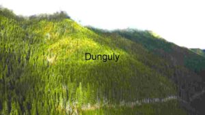 Verdant Mountain Slopes