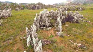 Majestic Limestone Pinnacles in Verdant Landscape
