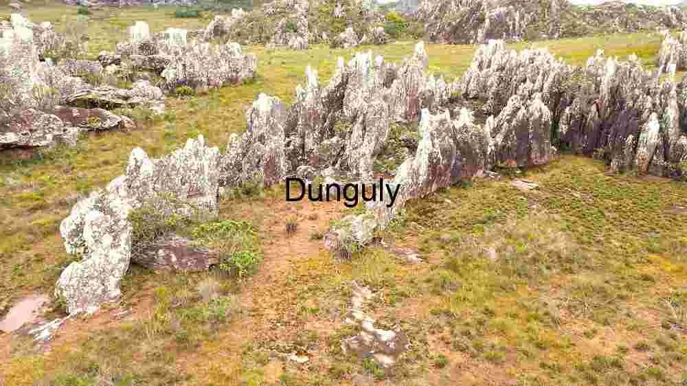 Lush Greenery Amidst Rugged Rocks