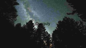 Starry Night Over Silhouetted Forest