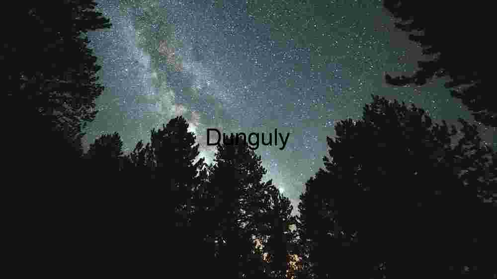 Starry Night Over Silhouetted Forest