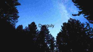 Starry Night Over Pine Forest