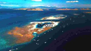 Aerial View of a Tropical Coral Reef
