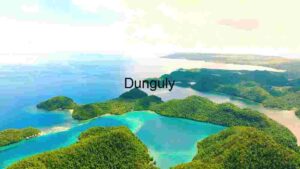 Tropical Paradise Aerial View