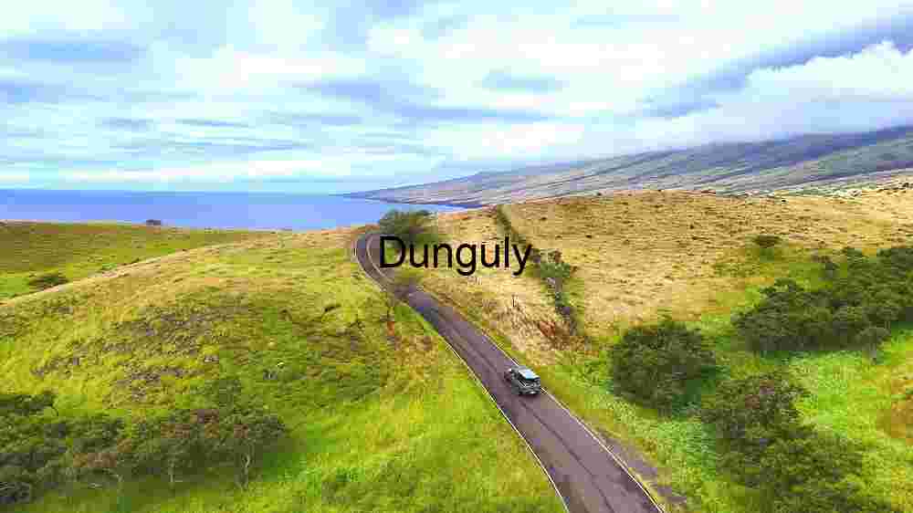 Serene Coastal Drive