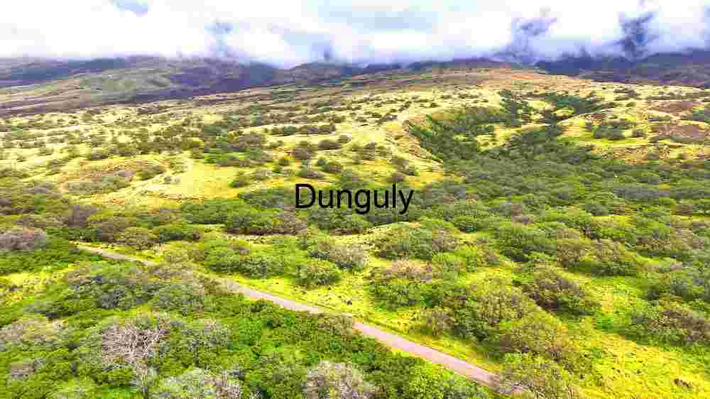 Verdant Valley Aerial View