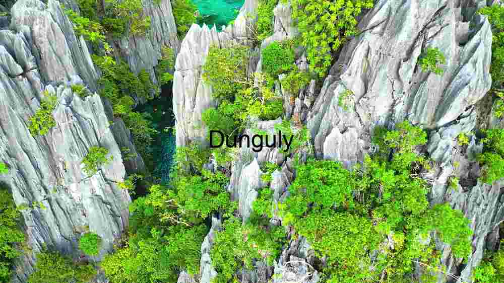 Aerial View of a Lush Green Canyon