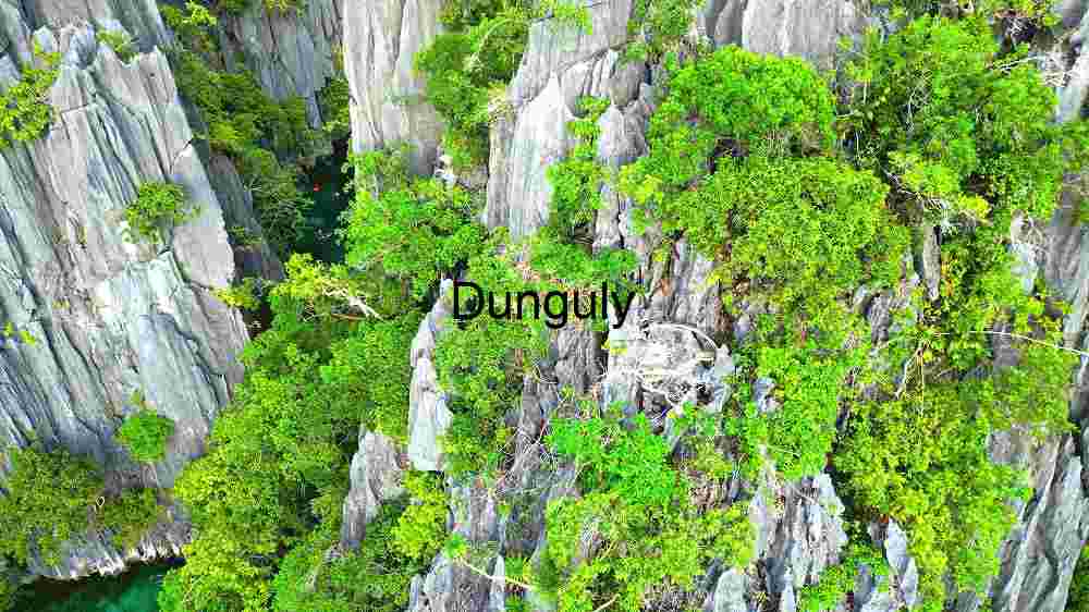 Lush Greenery on Rugged Cliffs