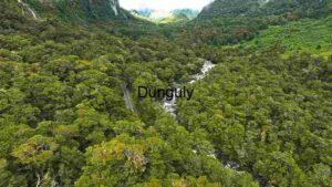 Aerial View of a Lush Green Rainforest with Waterfall and River