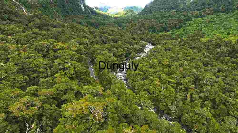Aerial View of a Lush Green Rainforest with Waterfall and River